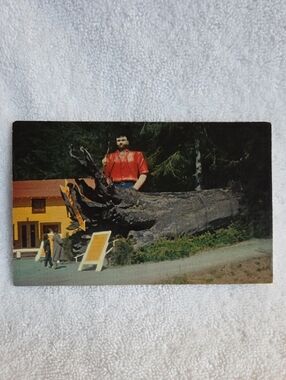 Paul Bunyan, Redwood Forest